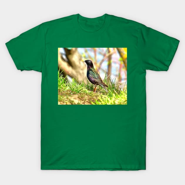 Beautiful starling T-Shirt by Evgeniya